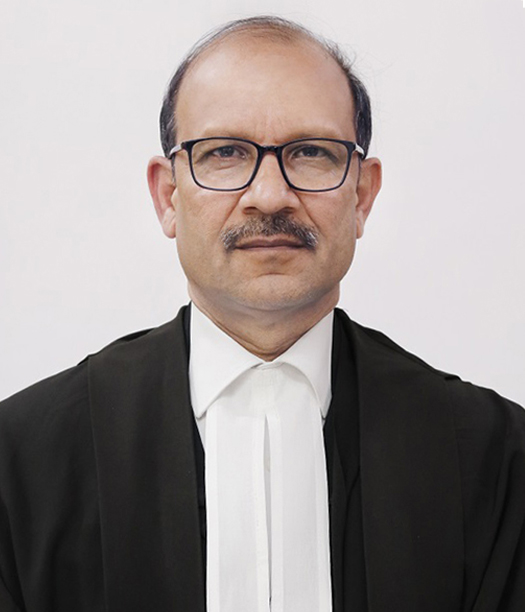 Judge
